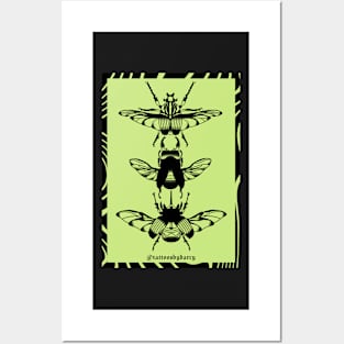 Beetle Poster Posters and Art